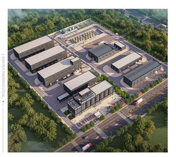 Luckymed(Ningjin) Co., Ltd.